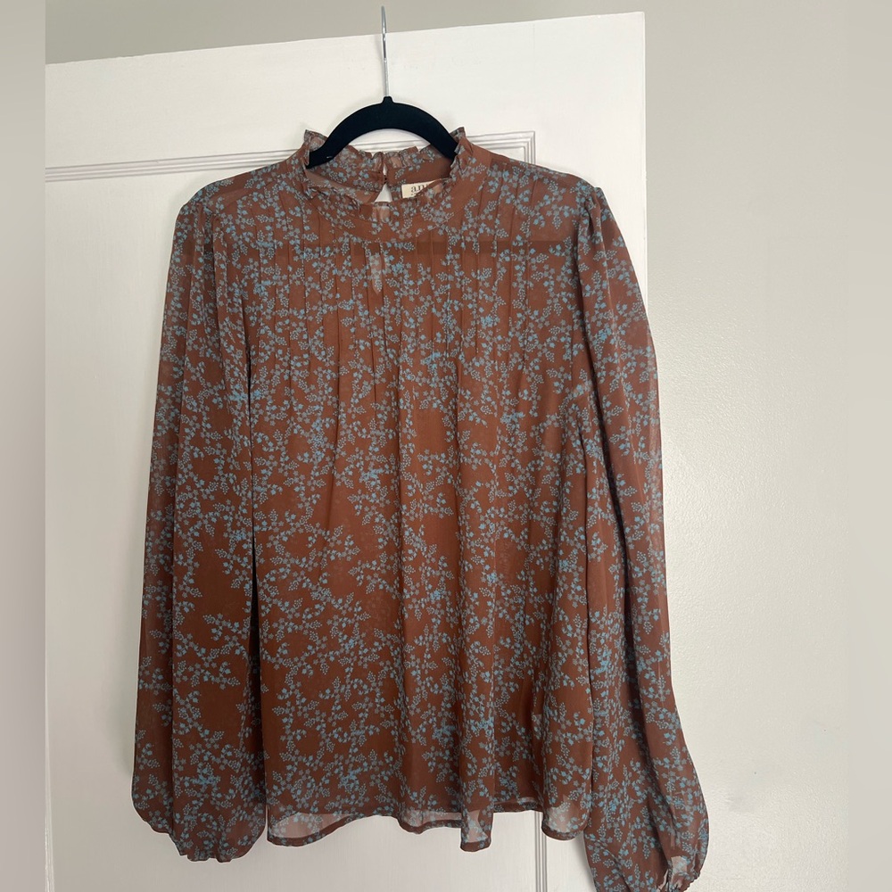 Sheer Blouse